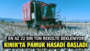 KINIK'TA PAMUK HASADI BAŞLADI