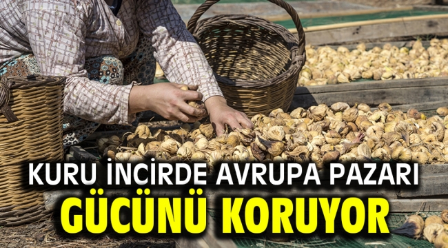 Kuru incirde Avrupa pazarı gücünü koruyor