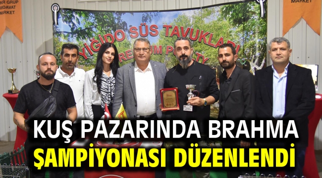 KUŞ PAZARINDA BRAHMA ŞAMPİYONASI DÜZENLENDİ