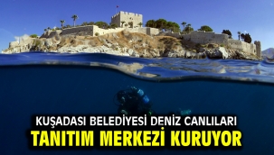 KUŞADASI BELEDİYESİ DENİZ CANLILARI TANITIM MERKEZİ KURUYOR