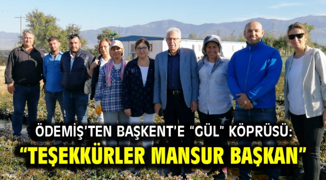 Ödemiş'ten Başkent'e "gül" köprüsü: "Teşekkürler Mansur Başkan" 