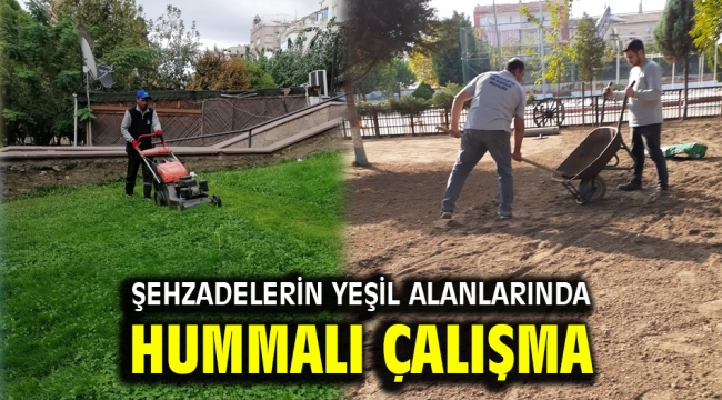 ŞEHZADELERİN YEŞİL ALANLARINDA HUMMALI ÇALIŞMA