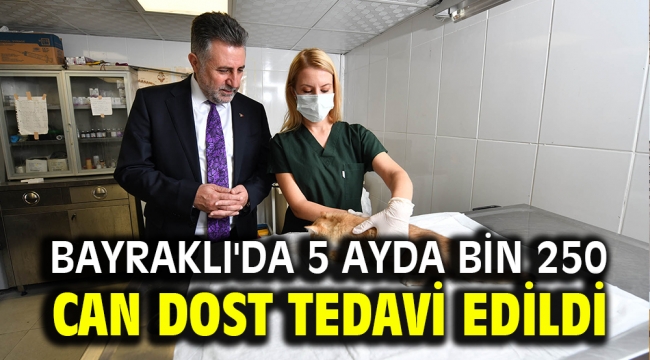 5 ayda bin 250 can dost tedavi edildi