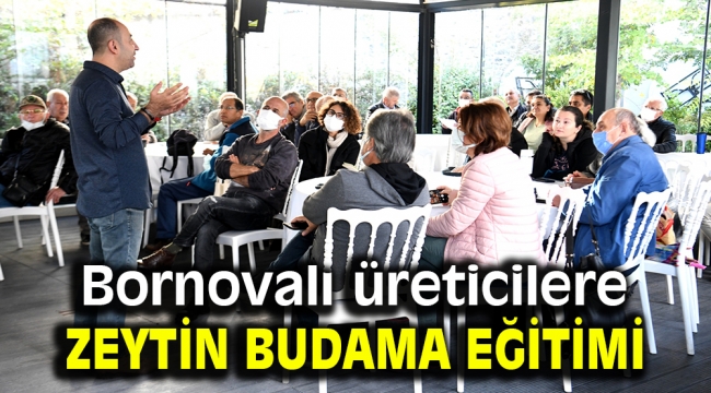 Bornovalı üreticilere zeytin budama eğitimi