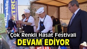 Çok Renkli Hasat Festivali devam ediyor