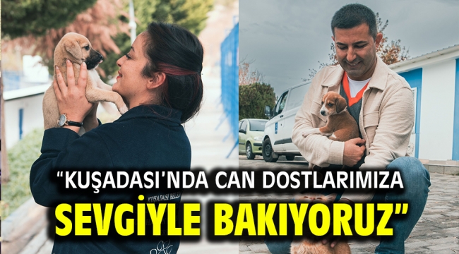 "KUŞADASI'NDA CAN DOSTLARIMIZA SEVGİYLE BAKIYORUZ"