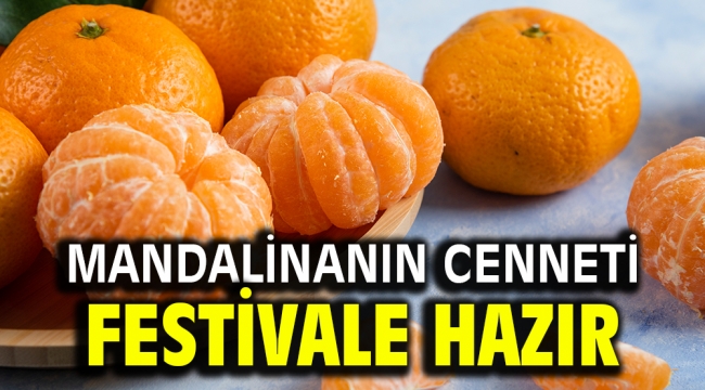 Mandalinanın Cenneti festivale hazır