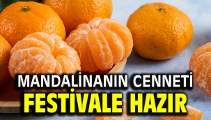 Mandalinanın Cenneti festivale hazır