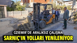 Sarnıç'ın yolları yenileniyor