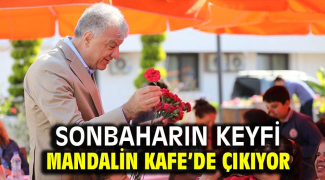 Sonbaharın Keyfi Mandalin Kafe'de Çıkıyor