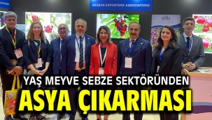Yaş meyve sebze sektöründen Asya çıkarması