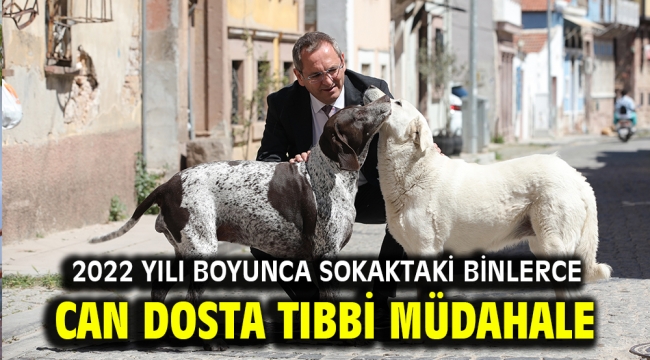 2022 YILI BOYUNCA SOKAKTAKİ BİNLERCE CAN DOSTA TIBBİ MÜDAHALE