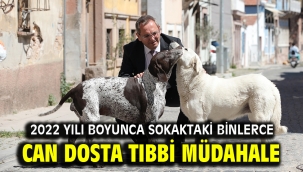2022 YILI BOYUNCA SOKAKTAKİ BİNLERCE CAN DOSTA TIBBİ MÜDAHALE