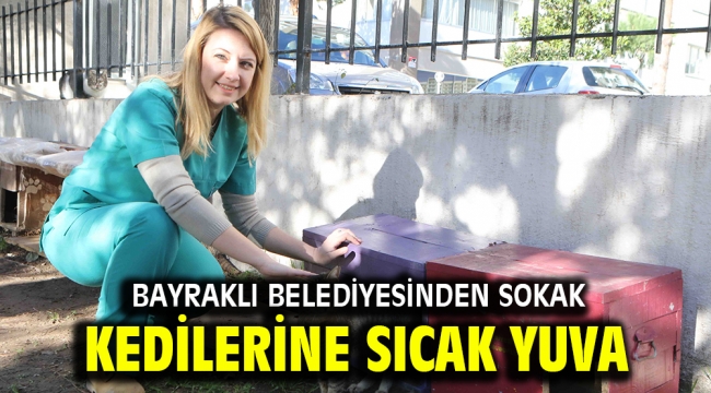 Bayraklı Belediyesinden sokak kedilerine sıcak yuva