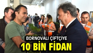 Bornovalı çiftçiye 10 bin fidan