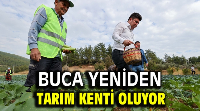 Buca yeniden tarım kenti oluyor