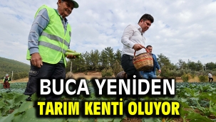 Buca yeniden tarım kenti oluyor