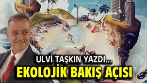 Ekolojik Bakış Açısı