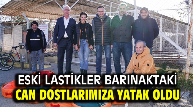 Eski Lastikler barınaktaki can dostlarımıza yatak oldu