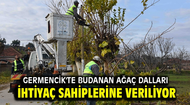 Germencik'te Budanan ağaç dalları ihtiyaç sahiplerine veriliyor