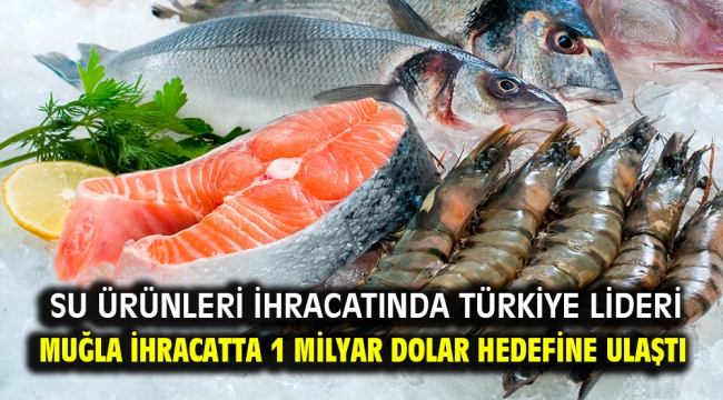 Muğla ihracatta 1 milyar dolar hedefine ulaştı