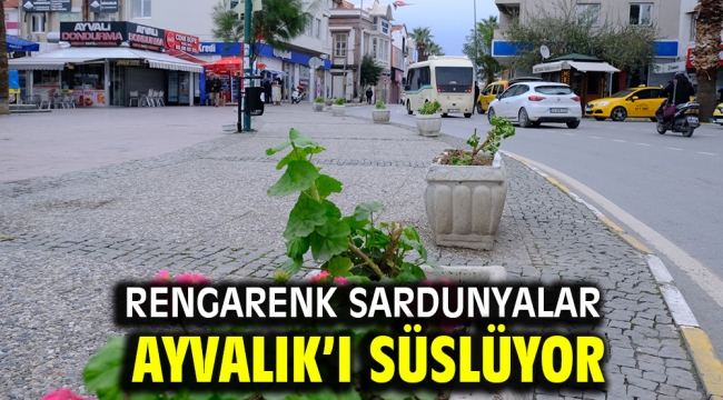 RENGARENK SARDUNYALAR AYVALIK'I SÜSLÜYOR