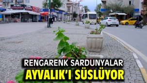 RENGARENK SARDUNYALAR AYVALIK'I SÜSLÜYOR