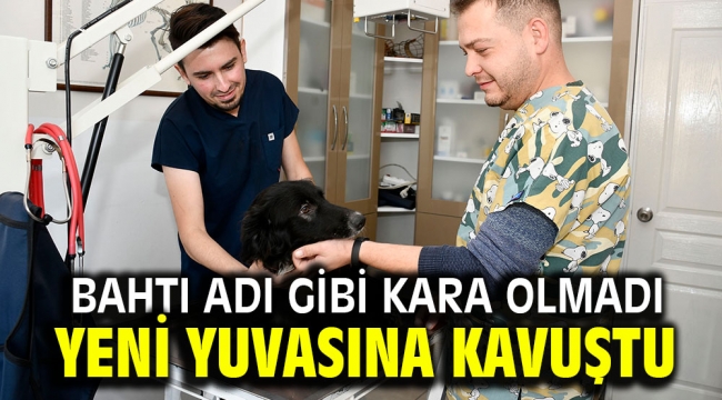 BAHTI ADI GİBİ KARA OLMADI YENİ YUVASINA KAVUŞTU