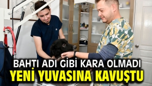 BAHTI ADI GİBİ KARA OLMADI YENİ YUVASINA KAVUŞTU