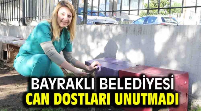 Bayraklı Belediyesi can dostları unutmadı