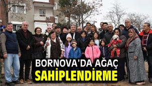 Bornova Belediyesi, ağaç sahiplendirme kampanyası 