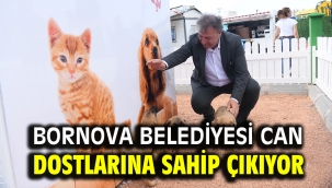 Bornova Belediyesi can dostlarına sahip çıkıyor