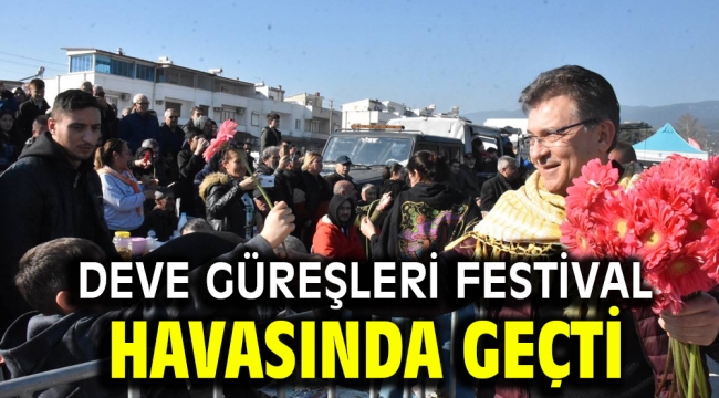 Deve Güreşleri festival havasında geçti