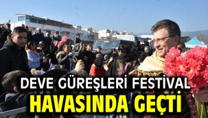 Deve Güreşleri festival havasında geçti
