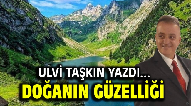 Doğanın güzelliği