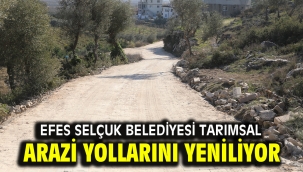 Efes Selçuk Belediyesi tarımsal arazi yollarını yeniliyor