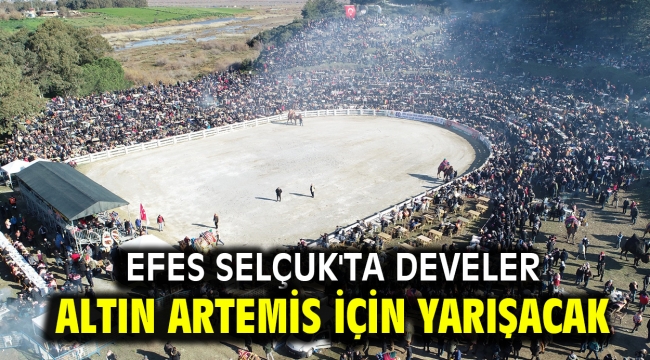 Efes Selçuk'ta develer Altın Artemis için yarışacak