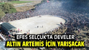 Efes Selçuk'ta develer Altın Artemis için yarışacak