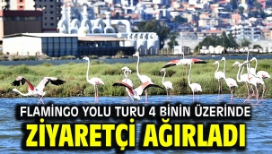Flamingo Yolu turu 4 binin üzerinde ziyaretçi ağırladı