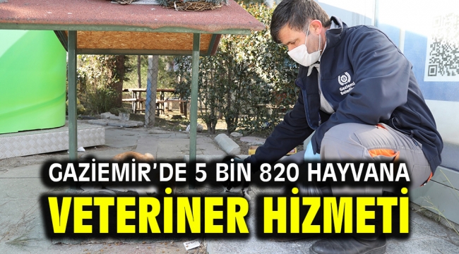 Gaziemir'de 5 bin 820 hayvana veteriner hizmeti