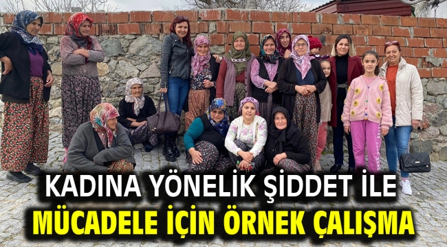 Kadına yönelik şiddet ile mücadele için örnek çalışma