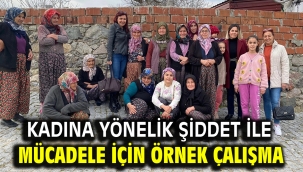 Kadına yönelik şiddet ile mücadele için örnek çalışma