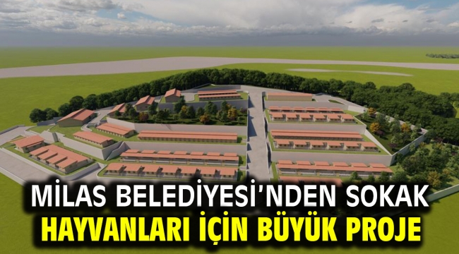 Milas Belediyesi'nden sokak hayvanları için büyük proje