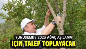 YUNUSEMRE 2023 AĞAÇ AŞILAMA İÇİN TALEP TOPLAYACAK