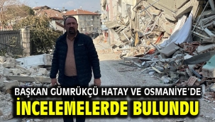 Başkan Gümrükçü Hatay ve Osmaniye'de İncelemelerde Bulundu