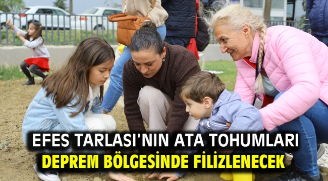 Efes Tarlası'nın Ata Tohumları deprem bölgesinde filizlenecek