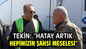 Tekin: "Hatay artık hepimizin şahsi meselesi"