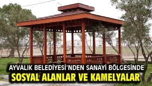  Ayvalık Belediyesi'nden Sanayi Bölgesinde Sosyal Alanlar ve Kamelyalar