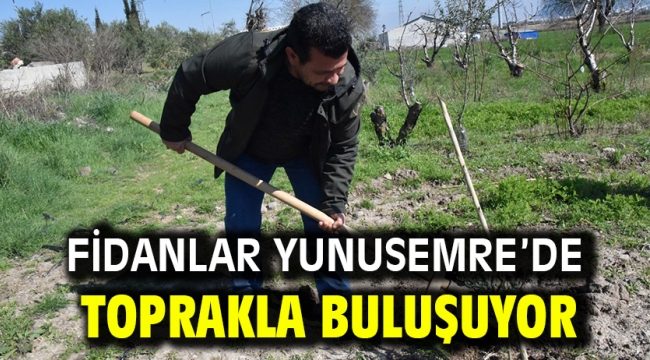 FİDANLAR YUNUSEMRE'DE TOPRAKLA BULUŞUYOR