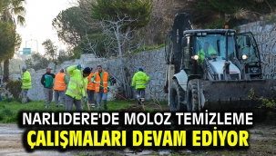 Narlıdere'de moloz temizleme çalışmaları devam ediyor